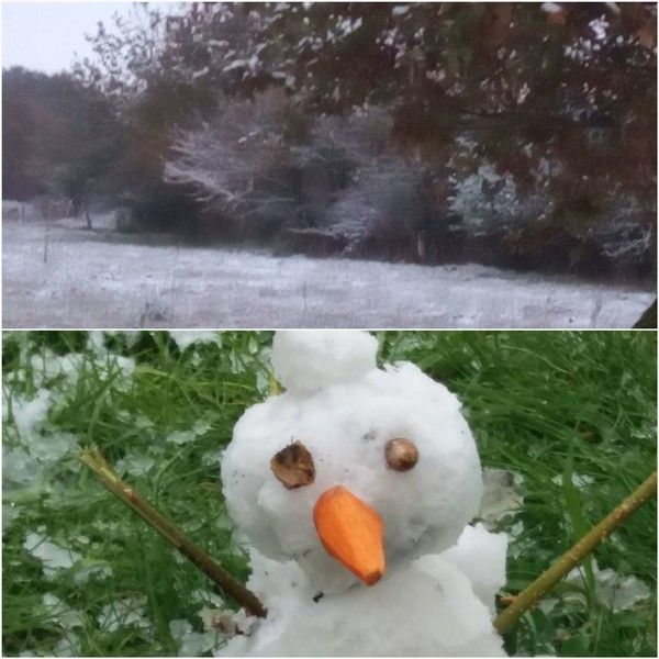Neige 